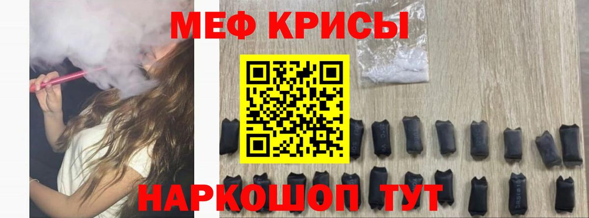 МЕФ  Новозыбков