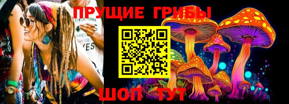 Псилоцибиновые грибы MAGIC MUSHROOMS  Галлюциногенные грибы мицелий  Вход с VPN  Новозыбков 