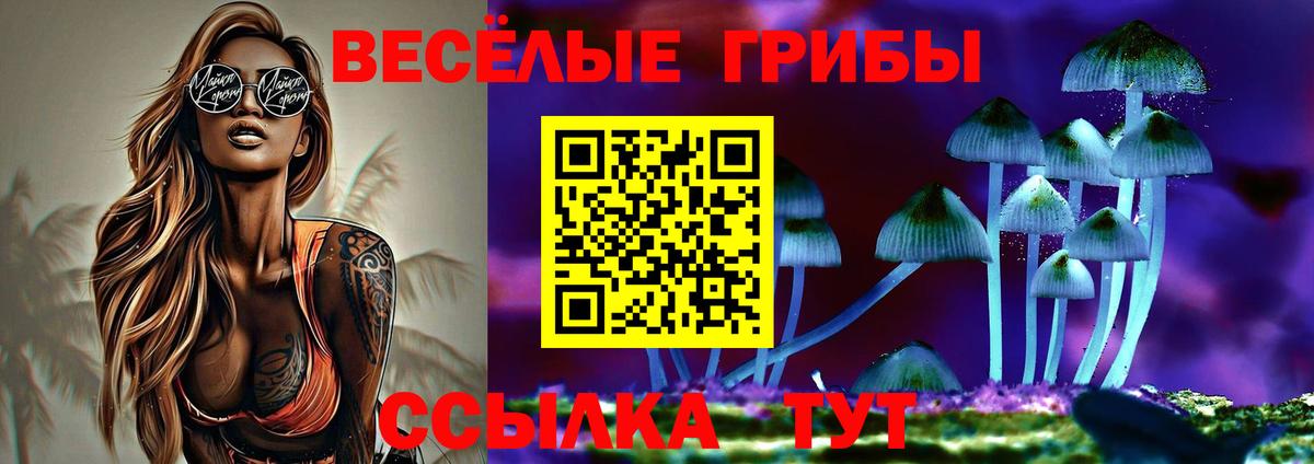 Гашиш  МАРИХУАНА  Лсд 25  МЕФ   Вход с VPN  Новозыбков  ГАШИШ  Меф МЯУ МЯУ 