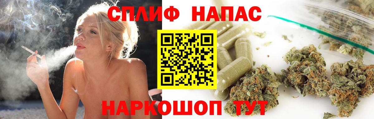 Шишки марихуана план Новозыбков